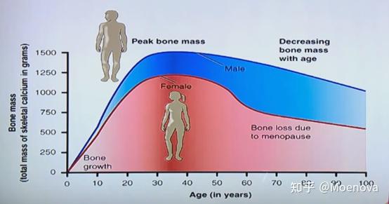 开云体育在线登入-关于运动员营养监测系统升级，实时分析代谢数据的信息